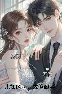 来如风雨，去似微尘：全文+后续