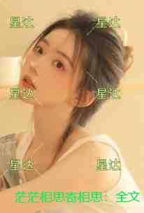 茫茫相思寄相思：全文+后续