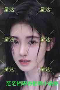 茫茫相思寄相思小说免费阅读