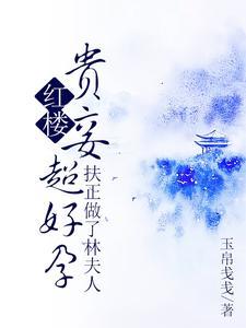 红楼贵妾超好孕，扶正做了林夫人