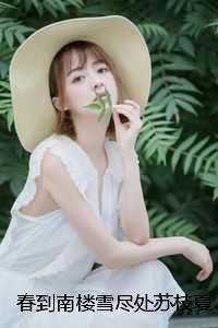 春到南楼雪尽处苏枝夏：结局+完结