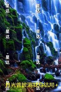 月光曾披满我身结局+番外