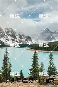 久别重逢，男二他追妻火葬场：全文+后续