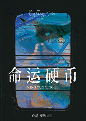 命运硬币[无限]