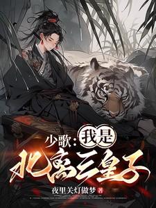 少歌：我是北离三皇子