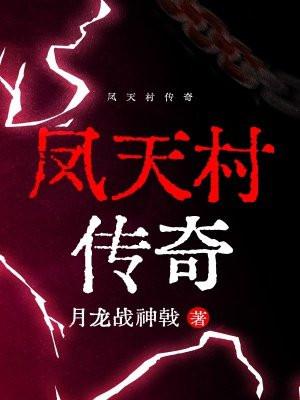 凤天村传奇