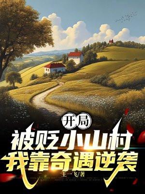 开局被贬小山村，我靠奇遇逆袭