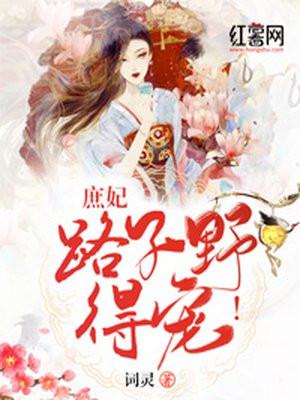 庶妃路子野，得宠！