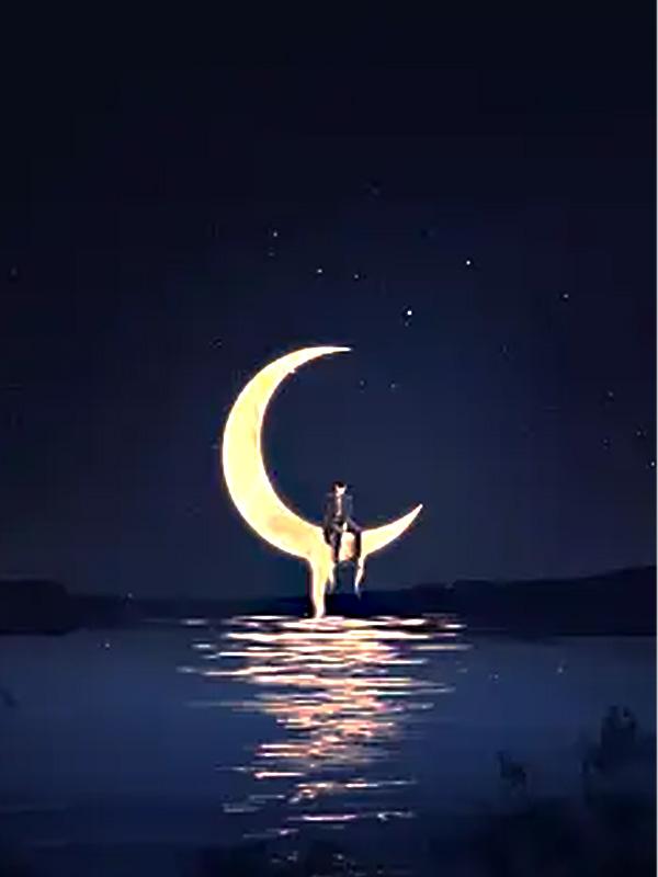 云霁深处不见初雪