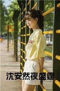 沈安然夜盛霆小说笔趣阁