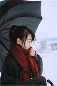 皇城有好事精校版全本