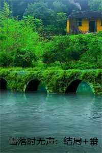 雪落时无声：结局+番外，姜瑞雪谢与安