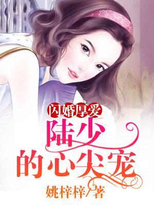 闪婚厚爱陆少的心尖宠