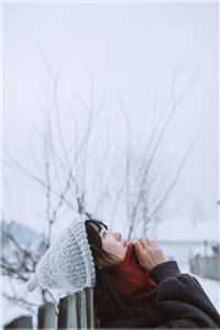 美强惨死遁后不知悔改