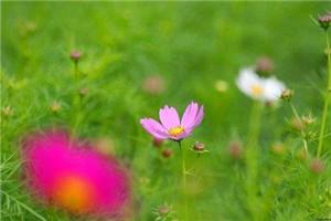 武林高手异世修仙