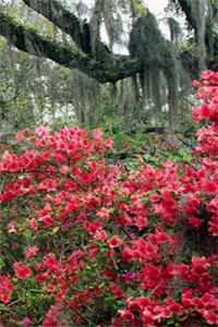 抗日刚重生就激活谍战雷达系统