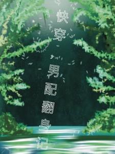 快穿，男配翻身记