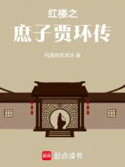 红楼之庶子贾环传