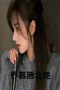 乔慕唐北尧小说