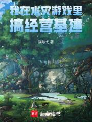 我在水灾游戏里搞经营基建