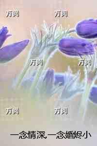 一念情深，一念婚烬：后续+完结