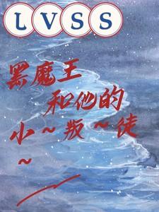 LVSS：黑魔王和他的小叛徒