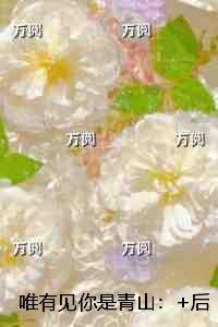 唯有见你是青山：+后续+结局