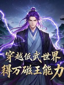 穿越低武世界我获得万磁王能力
