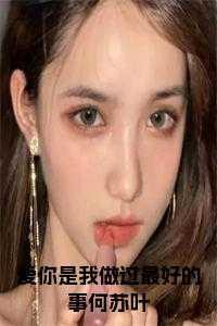 爱你是我做过最好的事何苏叶宝藏文