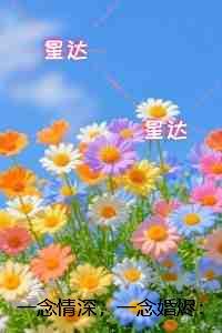 一念情深，一念婚烬：+后续+结局纯净无弹窗版