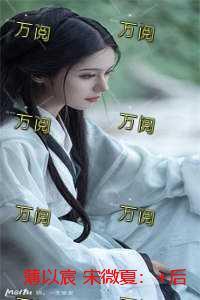 薄以宸 宋微夏：+后续+结局