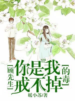 顾先生，你是我戒不掉的毒！