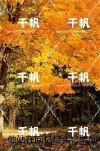 他站在回忆尽头：完整版免费在线阅读