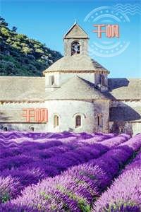 为讨情人开心丈夫把我的孩子拿去献祭全文+结局+番外