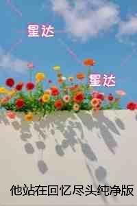 他站在回忆尽头纯净版：全局+结局