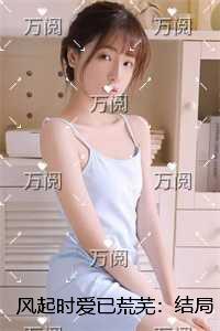 风起时爱已荒芜纯净无弹窗版