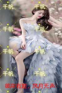 彼岸有涯，风月无声：高分言情