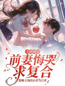 主角萧雅李沐风全章节阅读