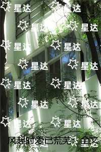 风起时爱已荒芜：完结+番外