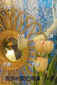 雪落时爱已落幕：章节试读