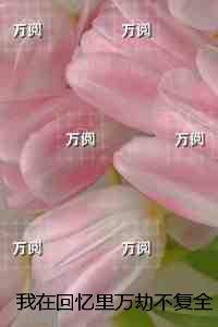 我在回忆里万劫不复：完结爽文