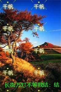 长街万灯不等我结：结局+番外