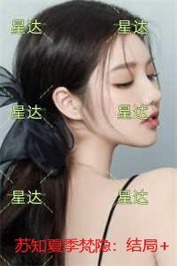 苏知夏季梵隐：小说