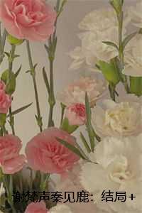 谢梵声秦见鹿：+全文+番外