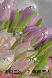 夫君二选一？草包美人吓哭了：无弹窗